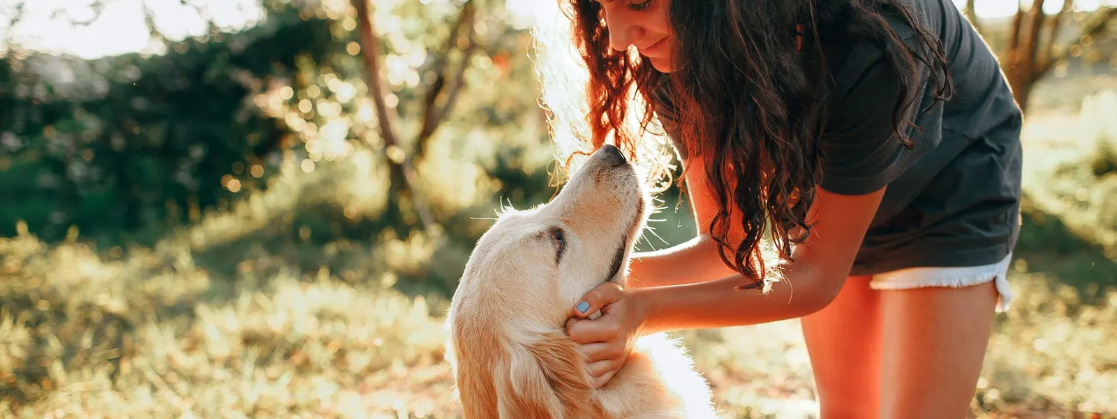 Femme caressant doucement son golden retriever dans une prairie au soleil couchant
