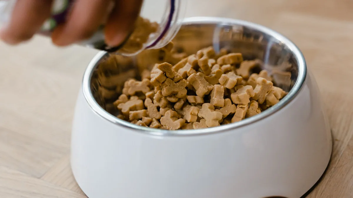 Main versant des croquettes dans la gamelle d'un chien